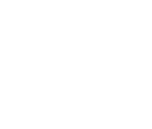 Twin Sisters